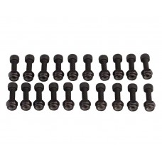 PEDAL PIN KIT,CHESTER,PIN&NUT,20 SETS