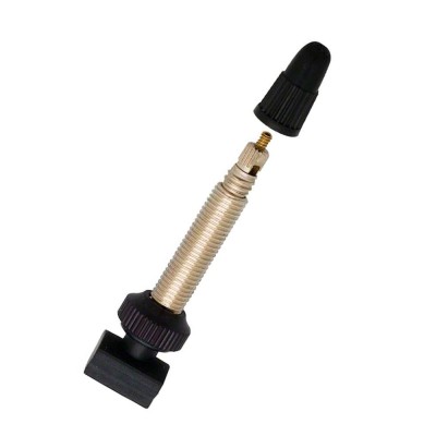 Ніпель DT SWISS TUBELESS VALVE 32MM MTB