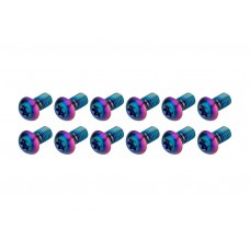 Болти ротора SRAM - Titanium T25, Rainbow Bolts (12шт) Болти ротора SRAM - Titanium T25, Rainbow Bolts (12шт)